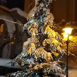 Tiziana House Энтраккуе