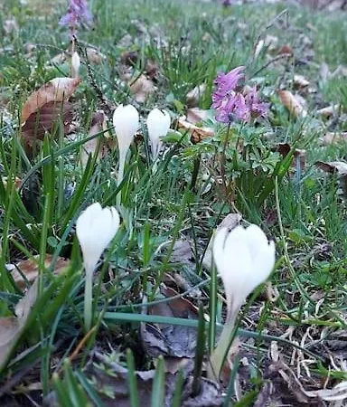 Tiziana House Entracque